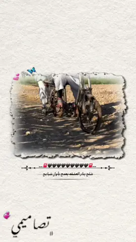 #سعد_الحرباوي #شلج_بنار_العشقه_بعدج_بأول_شبابج🌝🤞♥ #بهاء #علاء🤎 @بهاء🖤 @علاء🤎 @أبو نبال 🖤 #الشعب_الصيني_ماله_حل😂😂 