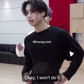 I’m gonna do more hyunlix videos cause I’ve only done one video on them and I love them too much to just do one video #skz #straykids #leeknow #hanjisung #minsung 