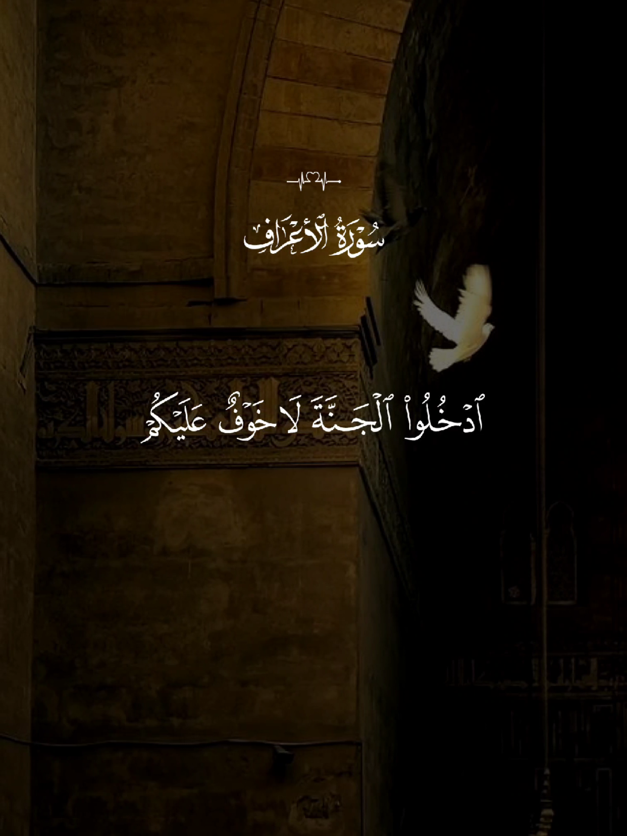 #قران #quran #قران_كريم #Allah #اللهم_صلي_على_نبينا_محمد 