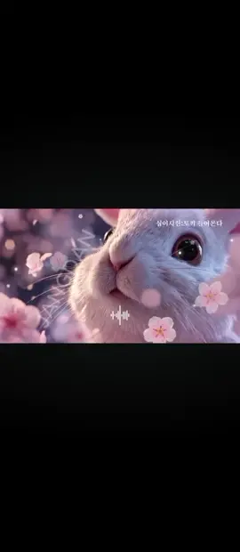 #多情兔