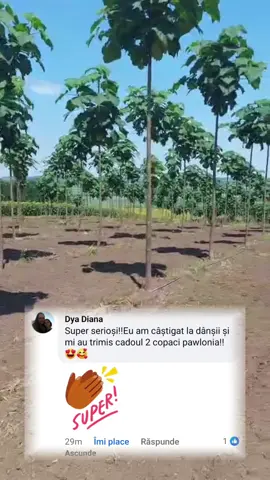 Am cea mai frumoasă Comunitate de Urmăritori 🥰🥰🥰 #paulowniabistrita #paulowniaonline #GlisTerra #paulownia #terase #glisiere #glisierealuminiu 