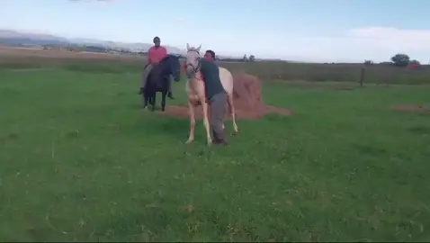 Buyashiyana ubunsizwa🐎