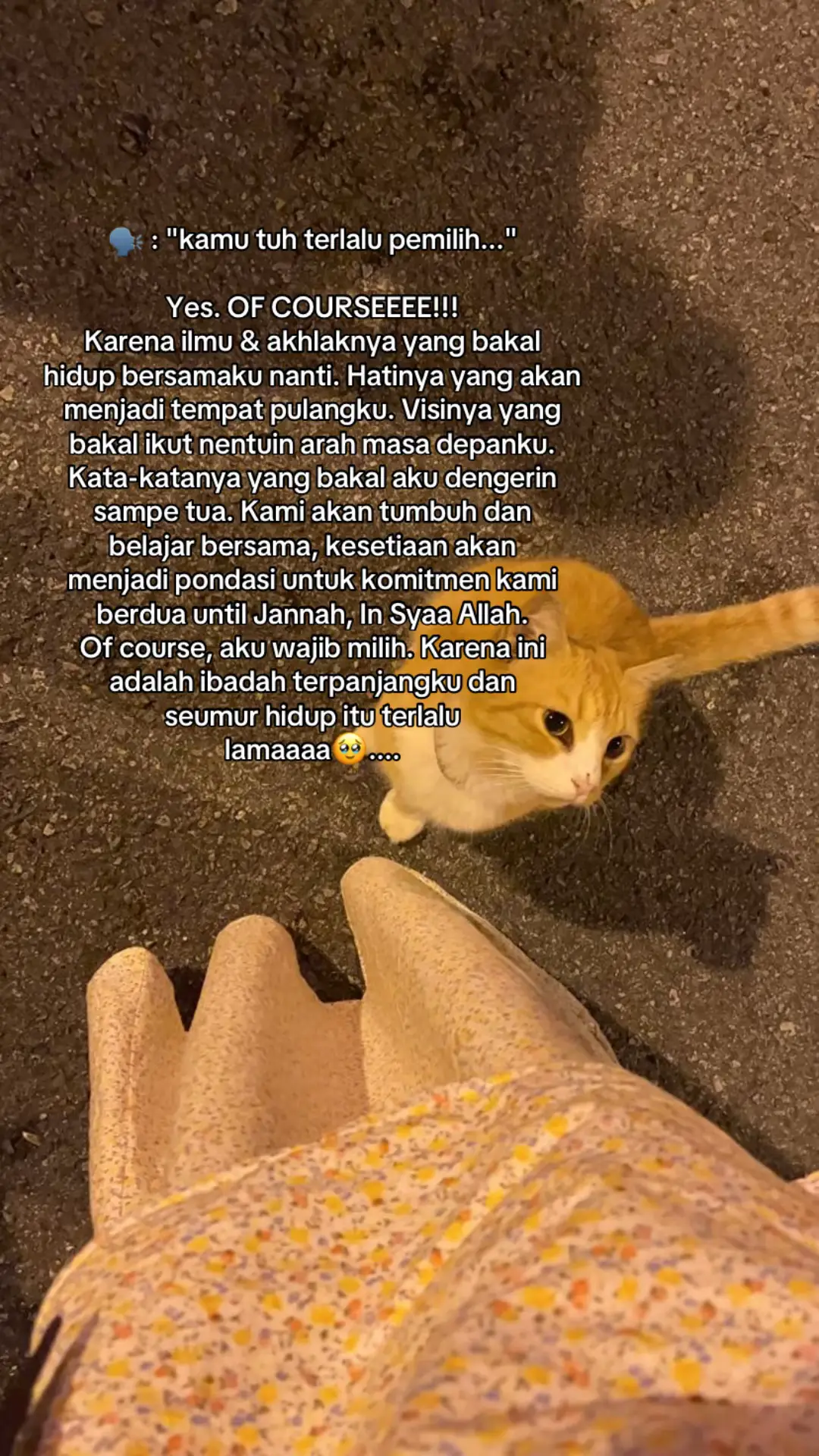 #wedding #quotestory #xzyabc #sadvibes🥀 #ftp 