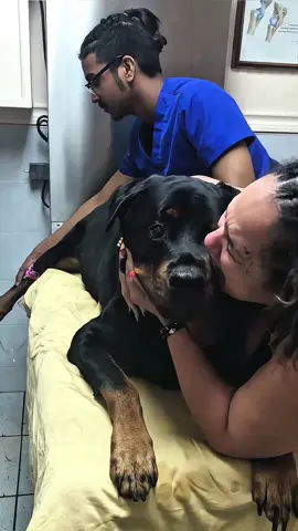 I will always remember you#Love #pet #dog 