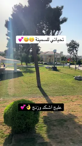 شباب شترغبون سمينة لو ضعيفة 🤭🤣 #العسكري #الموصل #لايك #تعليق #اكسبلور 