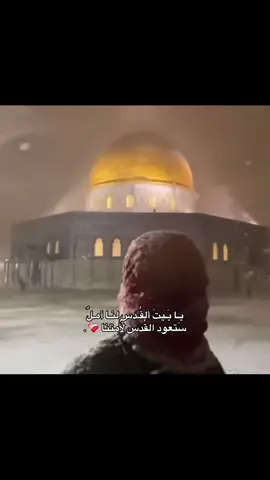 ستَعود ❤️‍🩹.  #fyp #المسجد_الاقصى #القدس #البلدة_القديمة #foryoupage 