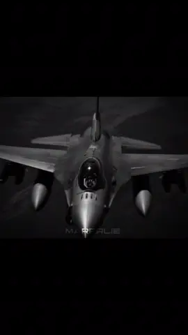 let's spread wings) #recommendations #fighterjet #fighterjetedit #f16 #f16fightingfalcon 