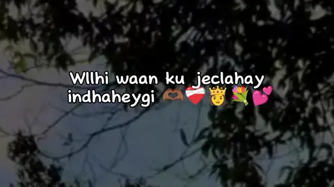 Ma I jeceshahy 🫵🥰🫂🥹❤️💝🤕 #fyp (Somali Tiktok ❤️‍🩹🇸🇴) capcut pppppppppppppp 