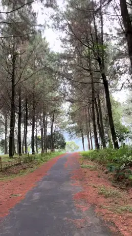 Cakep puol view menuju curugnya #curug #curuggenting #batang24jam #batang #view #explorejateng #fyp 