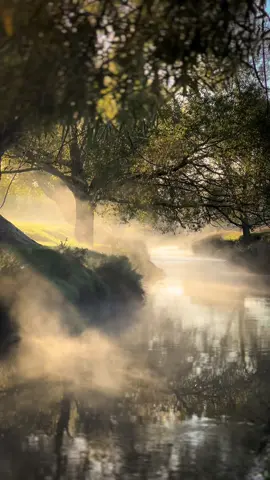 Nature  #nature #naturevideos #naturetiktok #sunrise #naturelovers 