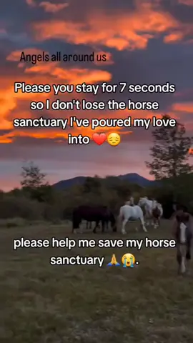 pov you rewatched this video twice so they don't shut dawn my our horse sanctuary please 🙏🥺#horselife #horsefarm #viralforgood #horsesoftiktok #horsesoftiktok