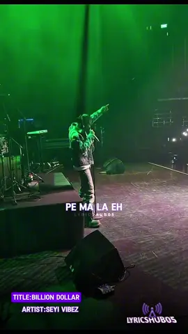 #billiondollar #seyivibez #fyp #lyricshub05 #viralvideos 