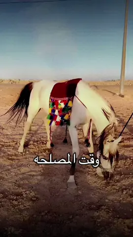 #أكسبلور_شعر_حكم_خواطر 