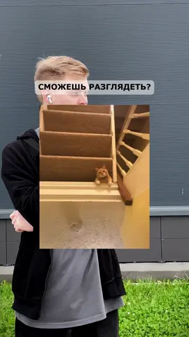 #загадки #глобальныерекомендации #факты #reels 