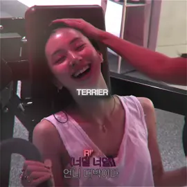 PITBULL TERRIER #jihyo #jihyoedit #chaeyoung #chaeyoungedit #twice #twiceedit 