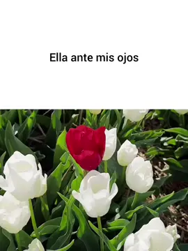 #iloveyou #ella #ojos #paratii #fyp 