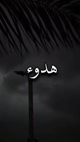 هدوء باسم عطّر هالقصيدة بروحية وجمال يلامس روحك قبل اذنك 🤎🫀 .  .  . #باسم_الكربلائي #ما_حسبت_هالكثر #حيدر_ستار #خجلان_من_رجعتك 