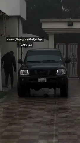 هیوادارم گورکە چاو برسیەکان سەرت شۆڕ نەکەن🖤
