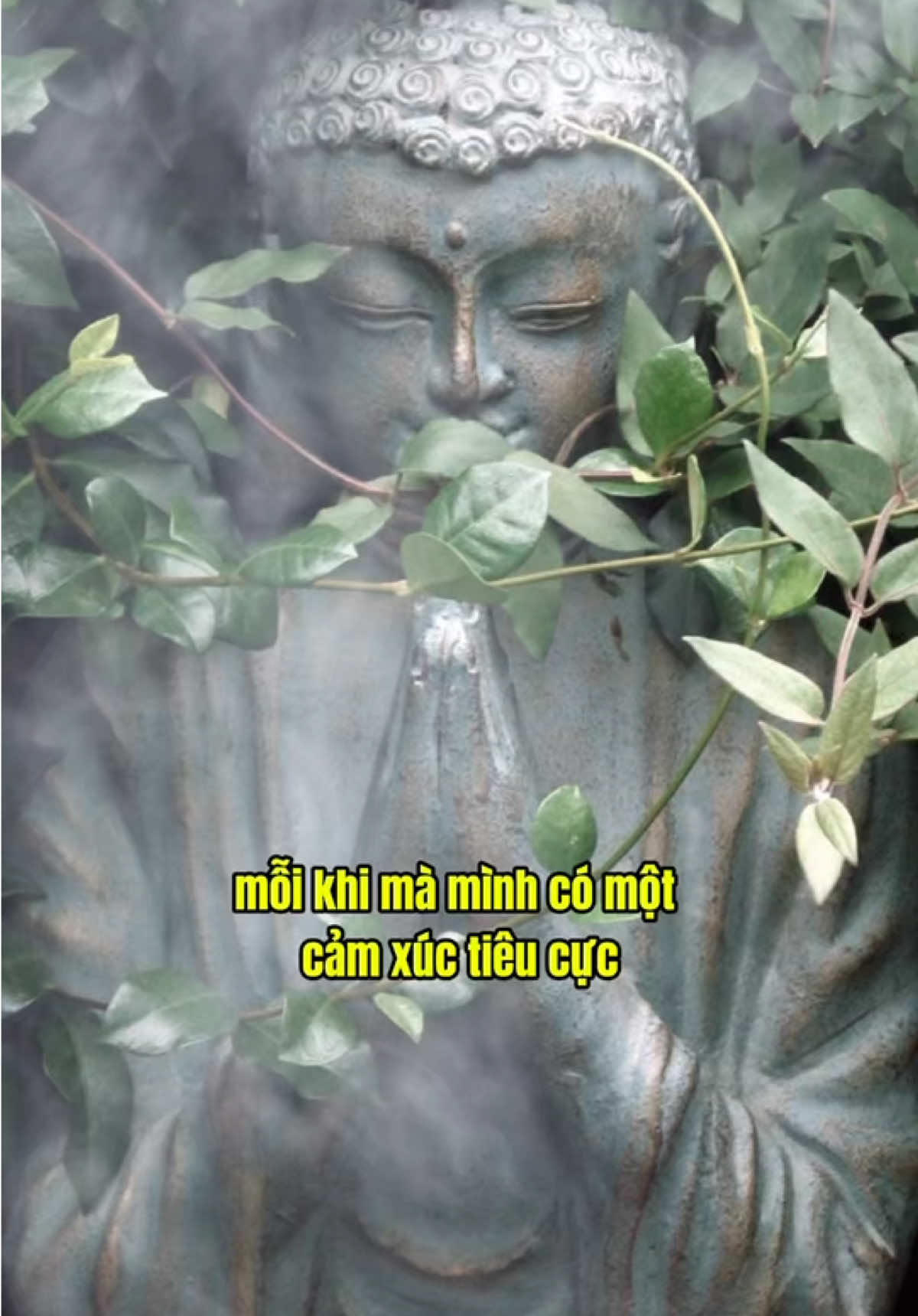 mỗi khi mình có cảm xúc tiêu cực … #phatphap #phatphapnhiemmau #annhien #loiphatday #chualanhtamhon #thayminhniem 