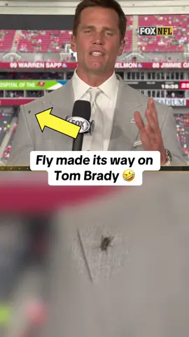 Fly made its way on Brady's shoulder 🪰🤣 #TomBrady #NFL #fly 