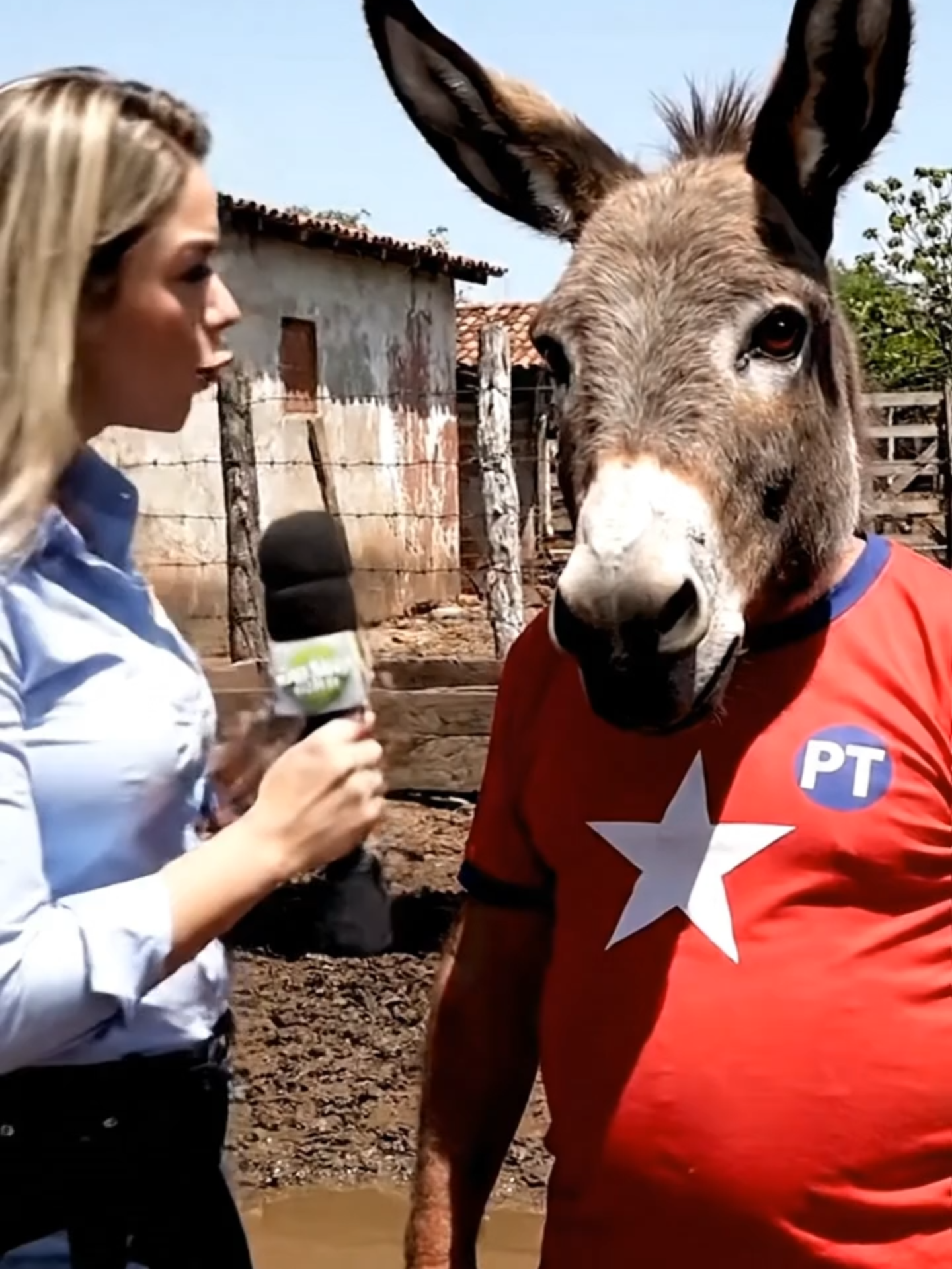 O que o PT fez de bom? #veo3 #viral #comedia #IA