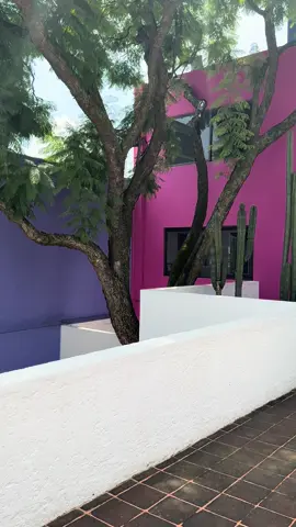 #cdmx 