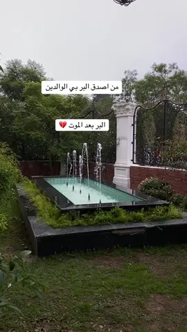 البر الحقيقي بعد الموت صدقه جاريه علم ينتفع به ولد صالح يدعو له #الشوق_للميت_يُميت #صدقه_جارية #صدقه_جاريه_لجميع_اموات_المسلمين #مالي_خلق_احط_هاشتاقات 