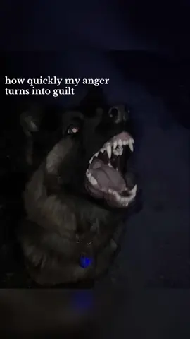 why am i like this. #fyp #dog #vent #anger 