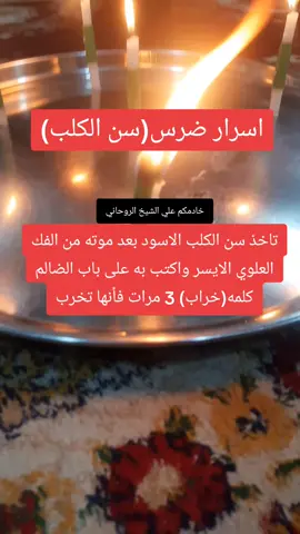 #علي_الشيخ_الروحاني #gemini #دوام #مدرسه #العراق 