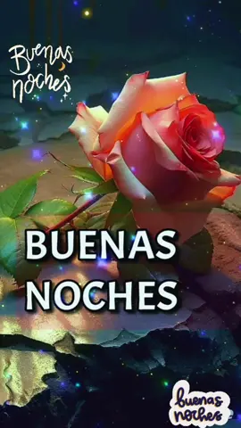 #buenasnoches #unfelizdescanso #🌛🌛🌛 