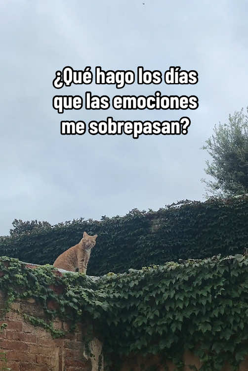 los días duros 🫂❤️‍🩹 #saludmental #bpdrecovery #trastornolimitedelapersonalidad 