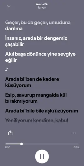Tarkan Arada Bir #tarkan #aradabir #spotify #şarkı @Taha_cgl 