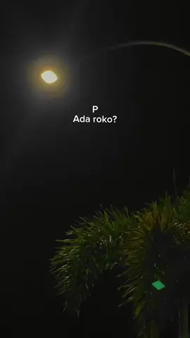 #fyp #zzz 