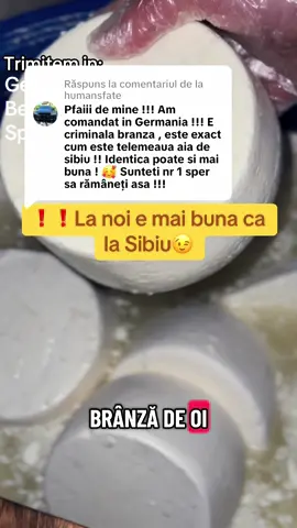 Ca răspuns pentru @humansfate va multumim pentru revenzia buna si va mai asteptam cu noi comenzi❤️ Branza de la stana noastra cu livrare gratuita in Germania,Italia,Anglia,Belgia. #ciobaniedragamie💯😍🍃🐑🐑🐑 #branzadeoaie #romaniinitalia #romaniingermania #diasporaromana 