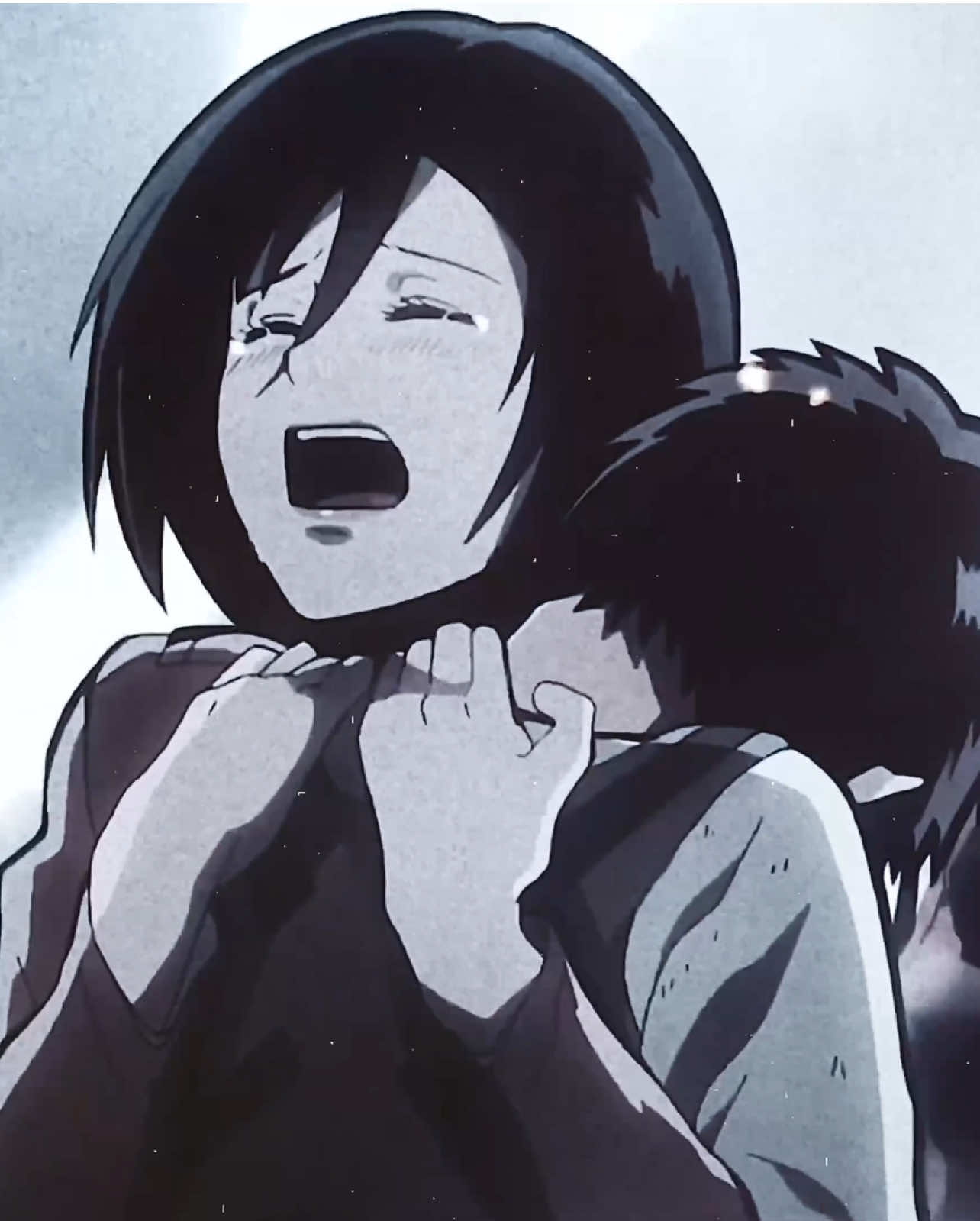 fym family 😹😹😭🙏   #eremika #erenjaeger #mikasaackerman #AttackOnTitan #moonll1qht 