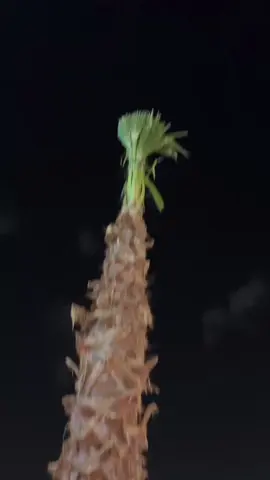 وش سويت فيها ي مينون 😂😂#شعب_الصيني_ماله_حل😂😂 