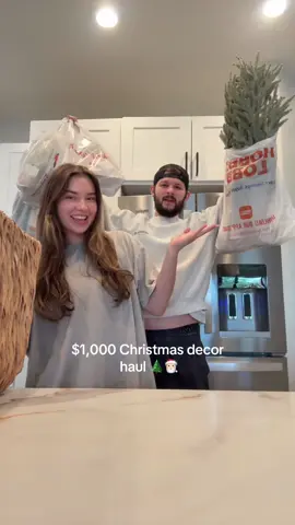 best day of my life tbh….. is it too early to decorate???? 😩🎅🏻 #relationships #christmas #haul #christmas2025 @HomeGoods @Hobby Lobby @The Home Depot 
