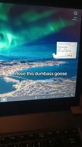 goose #fyp #foryou #xyzbca #goose #laptop 