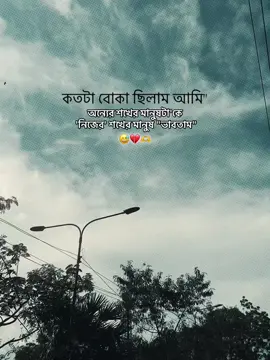 কতটা বোকা ছিলাম আমি