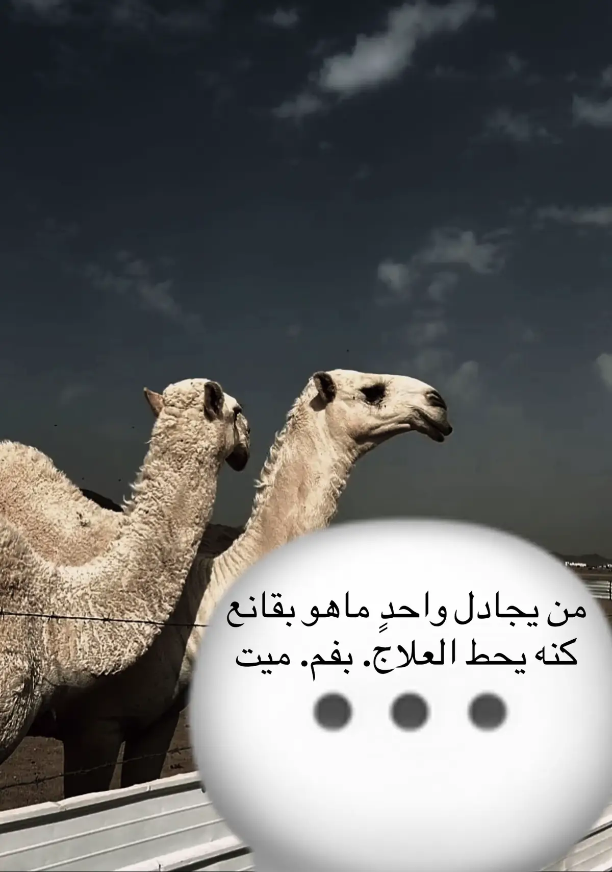 #شعراء_وذواقين_الشعر_الشعبي🎸💔🥀🗣 #axplor #الشعب_الصيني_ماله_حل😂😂 