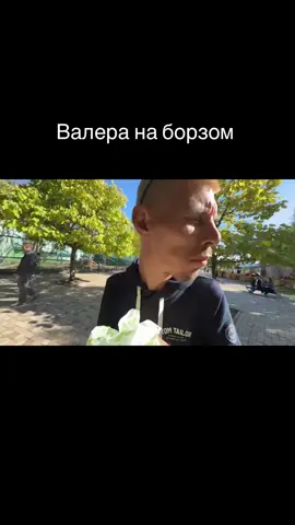 Борзайло 