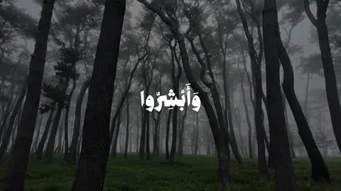 ناصر القطامي - وابشروا بالجنه || حساب وقناة القرآن بالبايو #قران #quran 