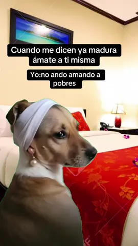 #MemeCut #MemeCut #Meme #MemeCut 