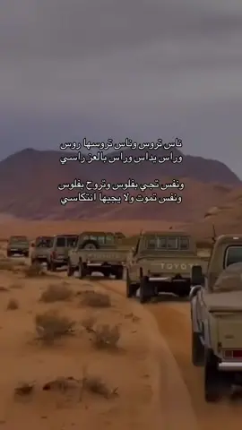 #مارب 