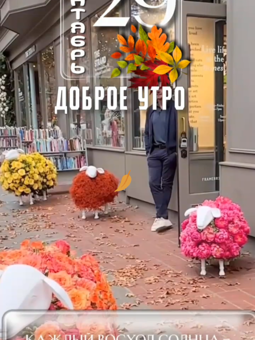 #доброеутро #29сентября #понедельникденьтяжелый #новаянеделя #осень 
