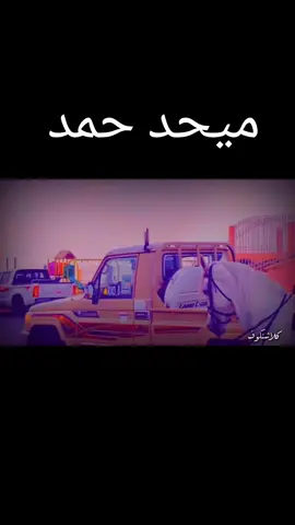 #الطير #المهاجر🦅🦅 #🕊️🕊️🕊️  #ميحد-حمد  #من_يداوي_القلب_وجراحه💔💔 