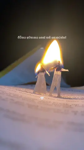 Ane🥺🙏