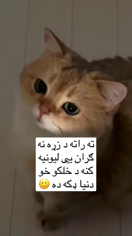 #fyp 