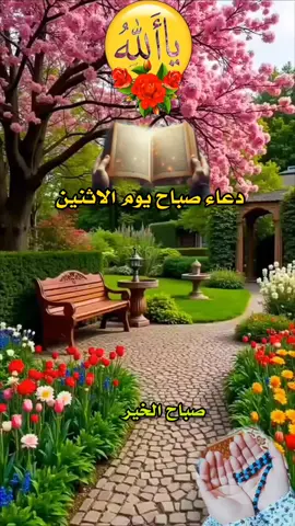 #دعاء_يوم_الاثنين #صباح_السعادة_لقلوبڪم_الطّيّبــۃ🌸 #صباح_الخير #دعمكم_وتشجيعكم_يهمني_ليصلكم_كل_جديد💔 