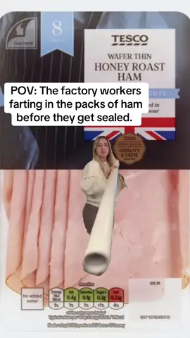 Why does it smell so bad 🤢 I can’t be the only one that absolutely hates the smell when you open a new pack of ham 🤢🤮#fyp #fyppp #foryoupage❤️❤️ #fypage #foryou #foru #forupage #funnny #relatable #ham #smell #jokes 